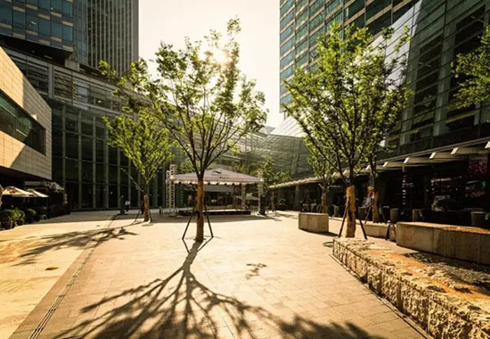 活成“行业模范”,7大Mall调整高招大揭秘!