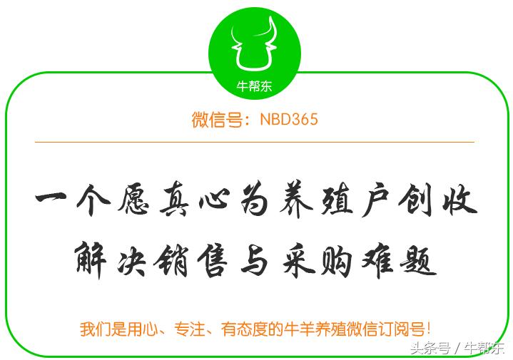 羊有机磷农药中毒喝白糖有用吗,羊有机磷中毒症状