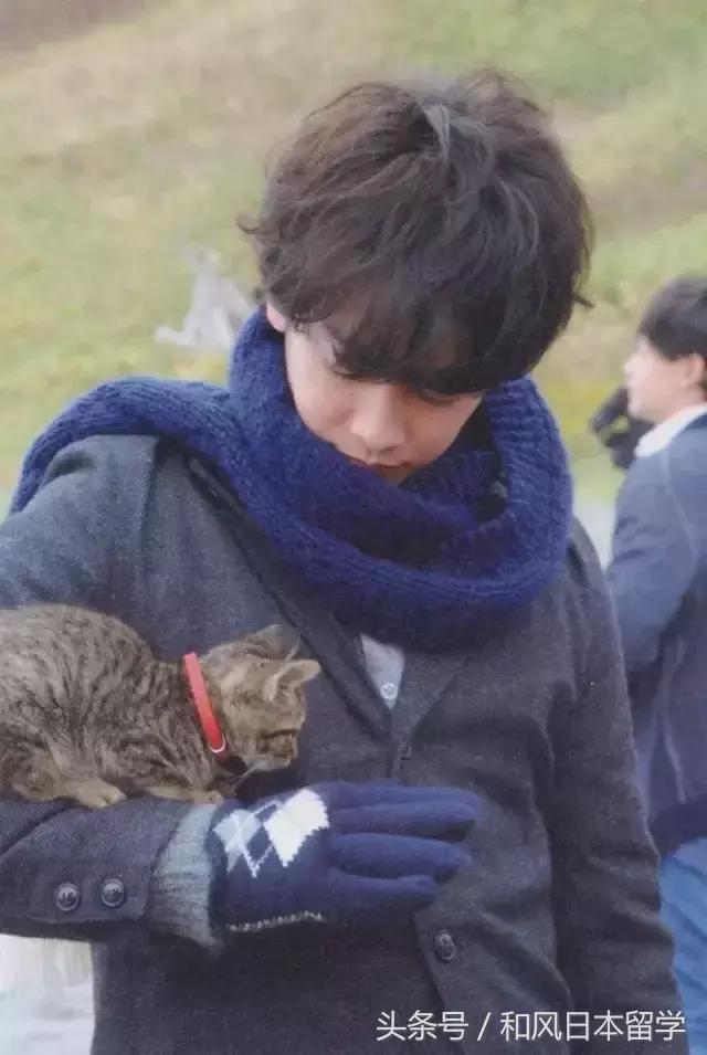 佐藤健在日本女性心中的地位,佐藤健颜值巅峰图片