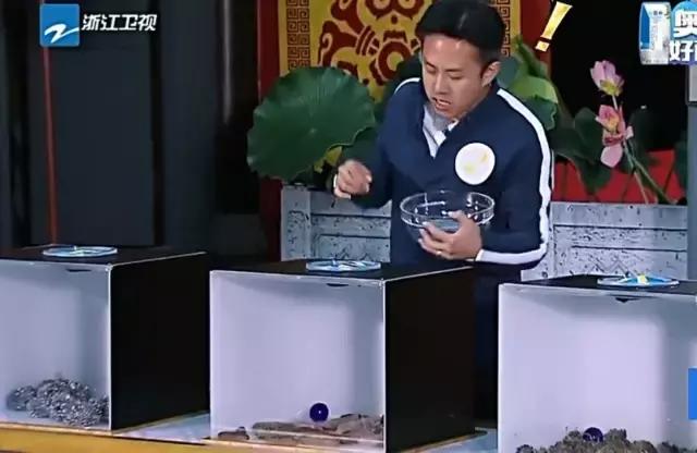 薛之谦最爱玩的游戏,薛之谦最新游戏