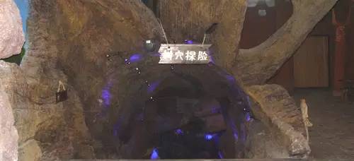 杭州极地海洋游玩图,杭州极地海洋世界旅游攻略