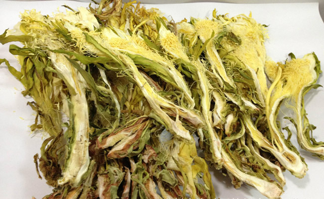 简单一点的广东老火汤,广东老火靓汤108种做法