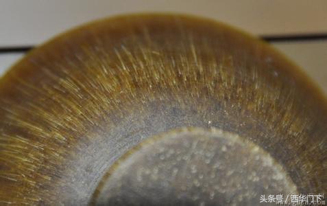 犀角雕怎么辨别真假,真假犀角的比重