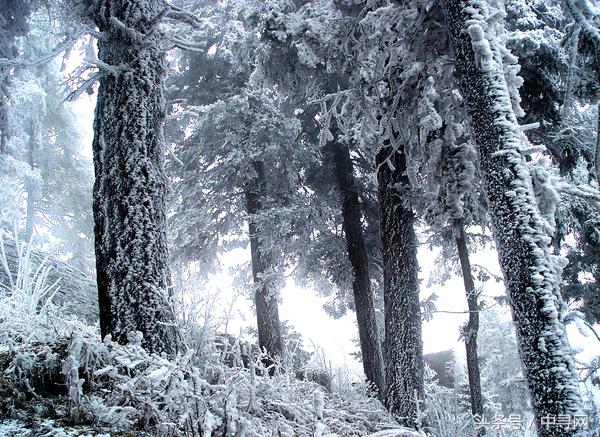 散文故乡儿时的记忆,童年记忆的散文500字