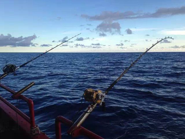 风风火火钓澳洲，渔获装满船舱