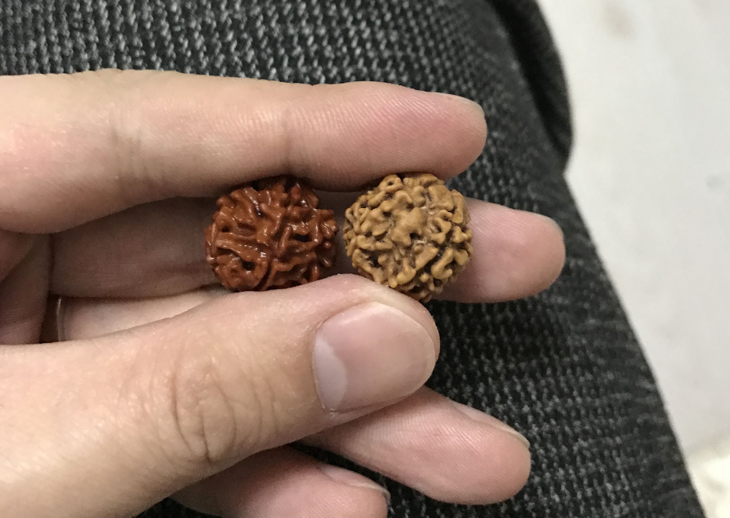 顽主解说,顽主文玩视频