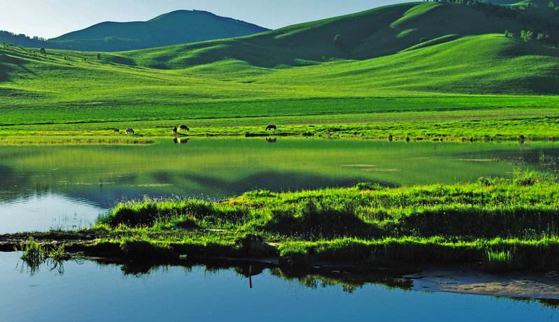 科学育儿宣讲活动,科学育儿公益大讲堂