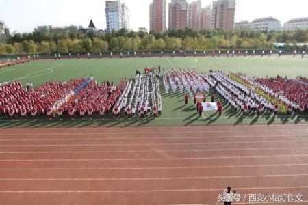 参加运动会小作文,运动会作文优秀范文