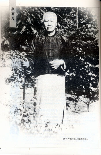 简述对康有为广艺舟双楫的理解,解读康有为《广艺舟双楫》