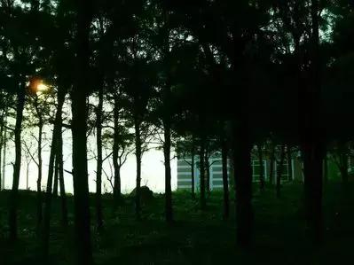 致镇江第一中学：我凭什么忘不了你