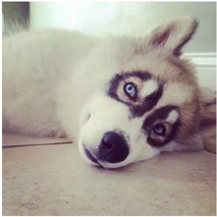 黑眼圈折磨我这么久，今天该认真聊聊了