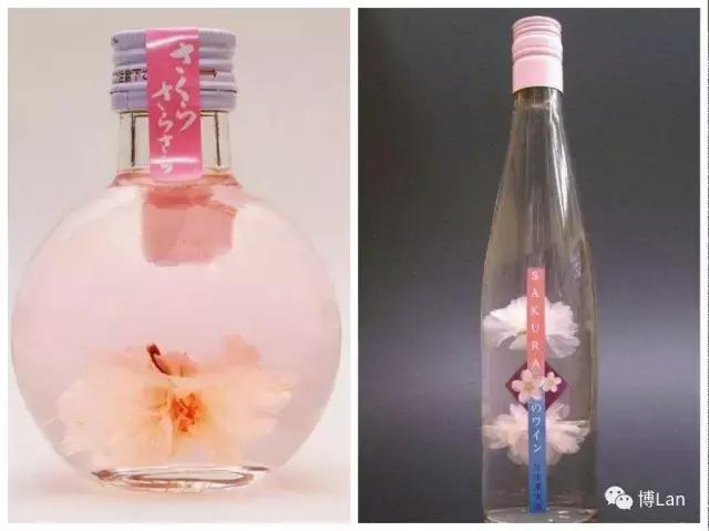 又到樱花季,又到了樱花绽放的季节