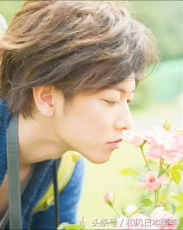 佐藤健17岁到现在的变化,佐藤健有哪几个奖项