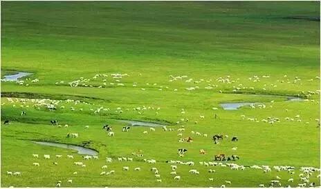 容易让人上瘾的生活好习惯,一旦过上高品质生活就很难