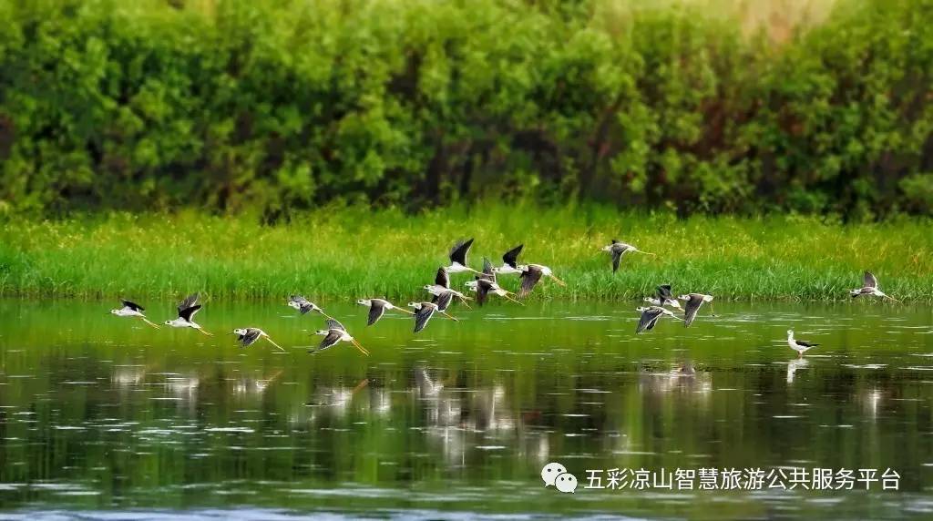 好燃是什么,好燃粤语