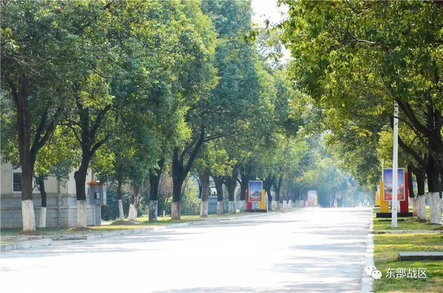 临走了，才发现这绿色军营是世外桃源……