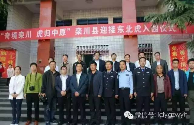 栾川游览图,栾川风景航拍