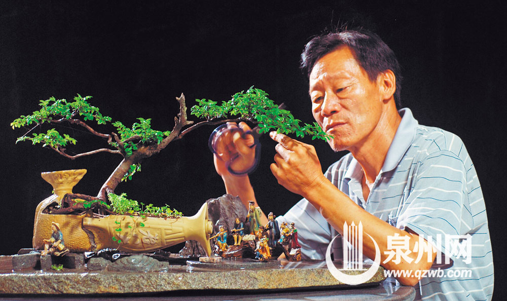 把空酒瓶做成盆景视频,废旧酒瓶制作的盆景