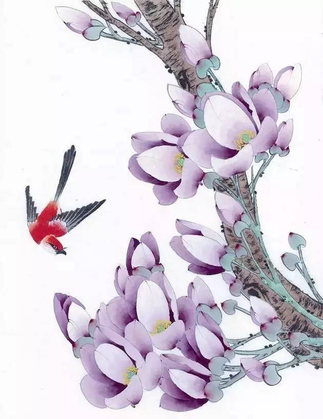 玉兰花儿童绘画,玉兰花绘画作品命名