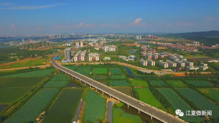 江夏有哪些地方,江夏是今天的什么地方