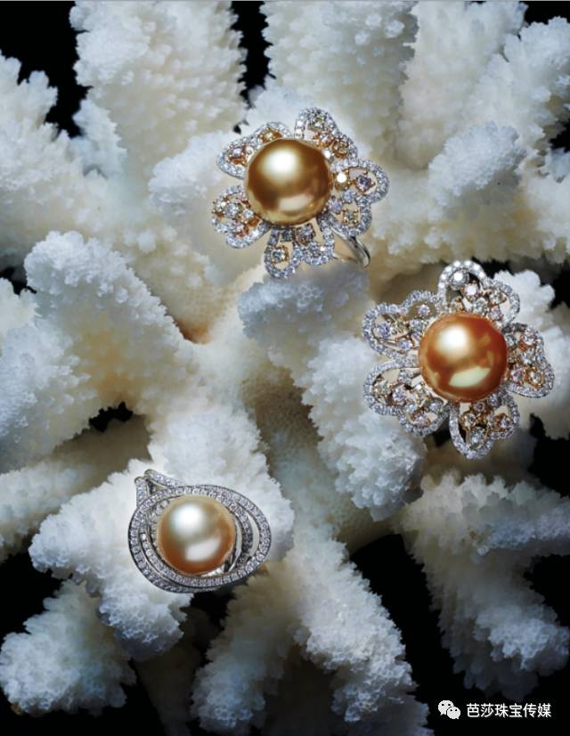 珍珠家族那么大，挑花眼了吗？搞懂四件事，选到最对的！