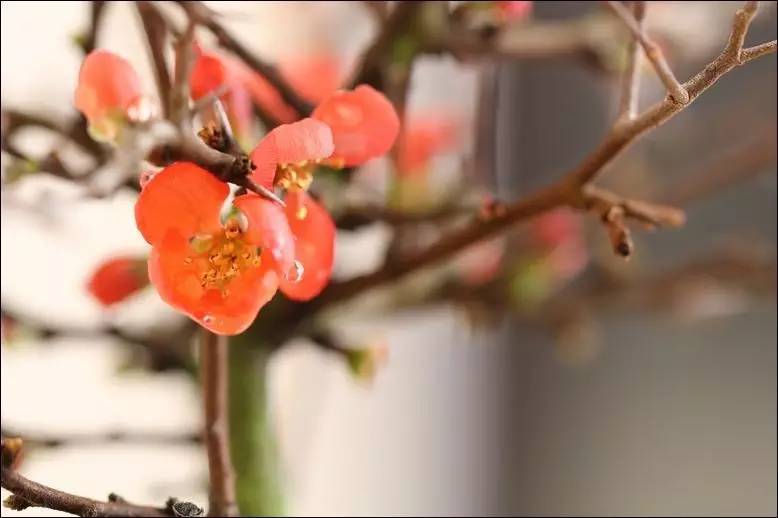 「诗词原创」闫鹏｜我辈当书胜绩激流犹待扬帆