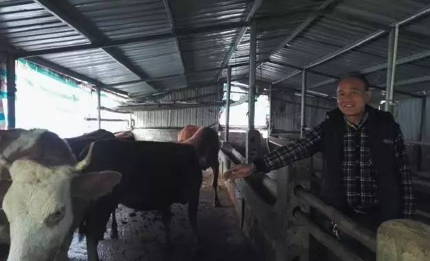 玉林至昆明高铁时刻表,玉林到昆明高铁在哪里换乘方便