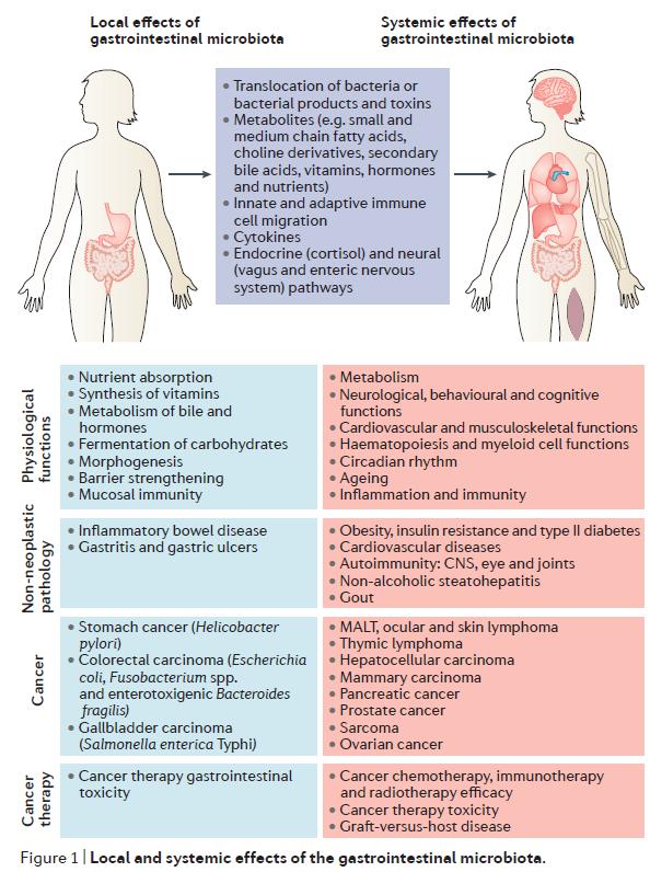 癌症免疫疗法nature (肿瘤免疫治疗nature)