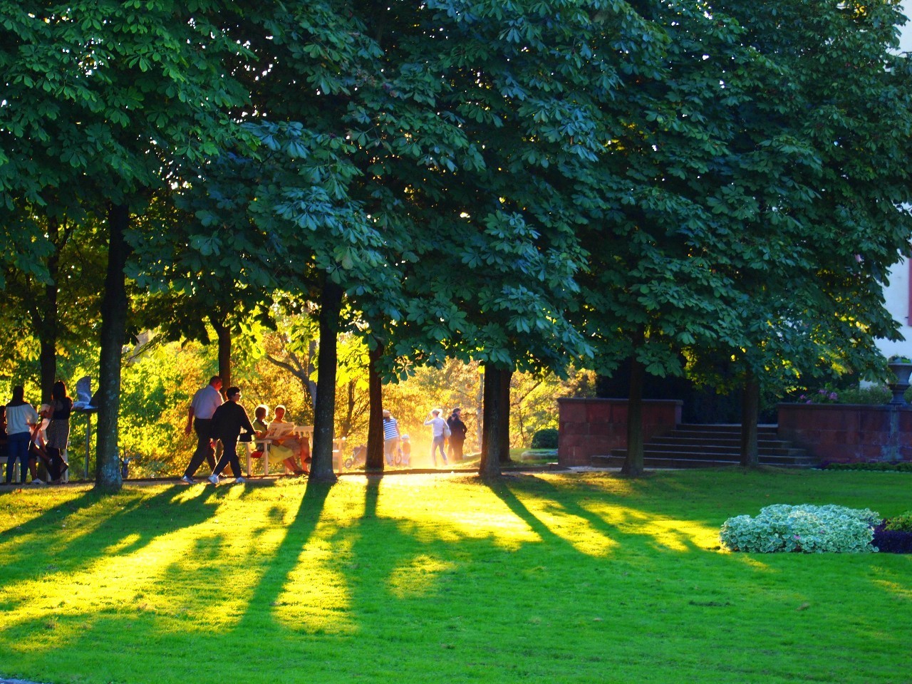 绿穹之下，感受德国中部的另一种美