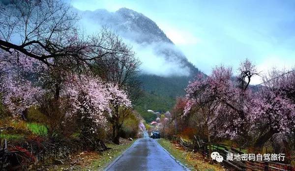成都出发—川藏南线-北线-丹巴-色达五明佛学院-亚青寺-德格印经院-昌都-然乌湖-来古冰川-波密-林芝-拉萨经典十二日游