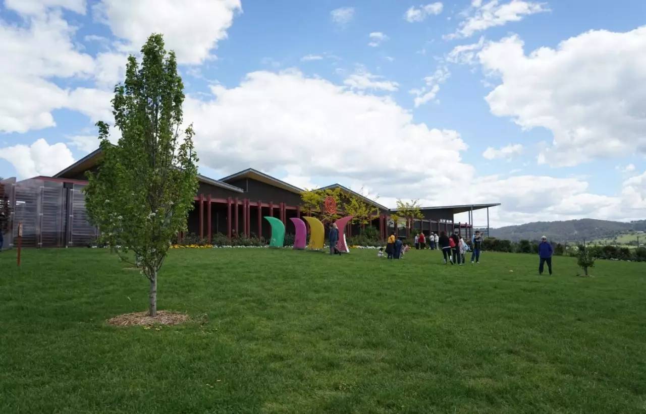 图说：在澳洲的日常（2）｜陈秋平