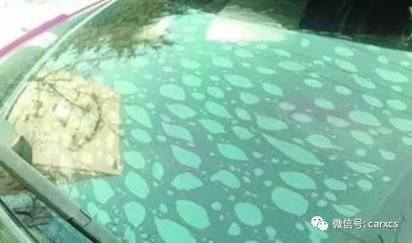 汽车贴膜有讲究，稍不留意就入坑