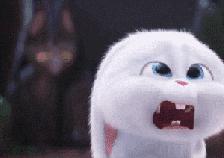 护照要到期换新护照需要什么手续,护照过期换新护照需要什么资料