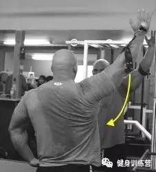 练背是手臂发力还是背发力,练背感觉手臂发力