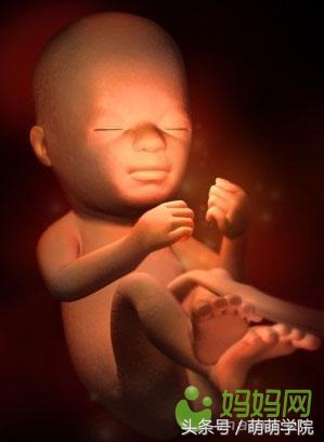 胎儿发育40周全过程b超影像,胎儿1-40周发育过程图高清