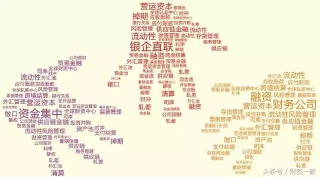 财资管理业务概述,国企财资管理