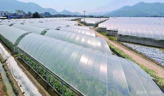 还嫌种粮不赚钱？这款新模式带您分分钟致富！