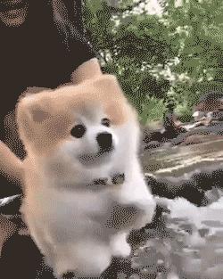 右手拇指指甲处断了一截,中指指甲突然断了意味着什么