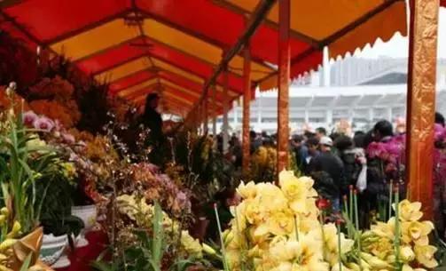 生活中的潜规则怎么处理,在生活中有许多规则