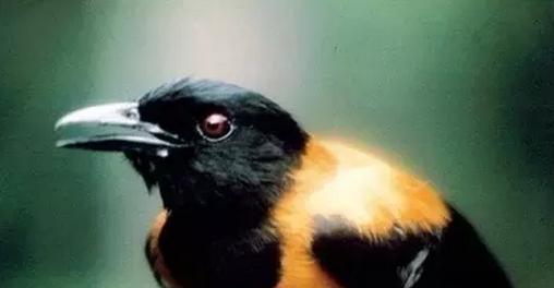 这些东西比鬼还可怕，而且任何人都有可能遇到！