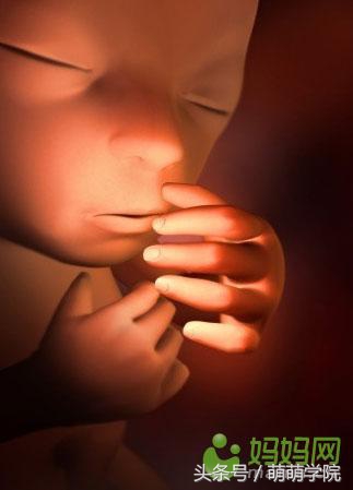 胎儿发育40周全过程b超影像,胎儿1-40周发育过程图高清