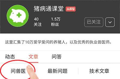 你给猪断尾的方法正确吗？这4种方法你应该了解！