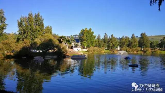 麻麻，为什么不能带我去非洲！