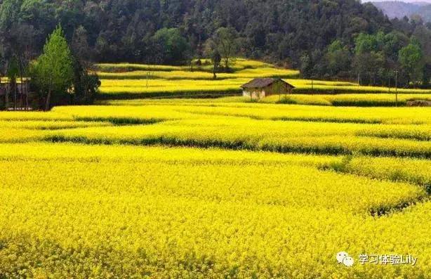 没有wifi用英语怎么说,英语怎么问有没有wifi