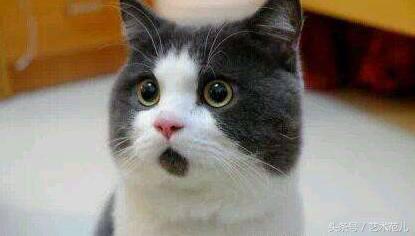 国足赢了教练反应,国足赢了教练的反应