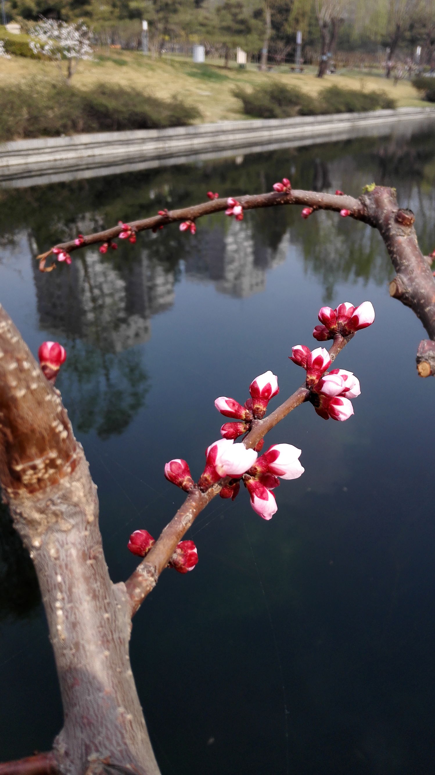 怎样判断鱼缺氧,鱼缺氧有效方法