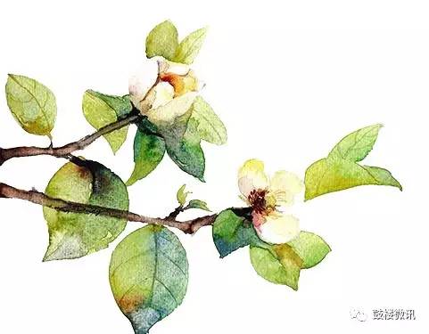 社区书记参加培训班的心得体会,全国社区书记主任培训心得体会