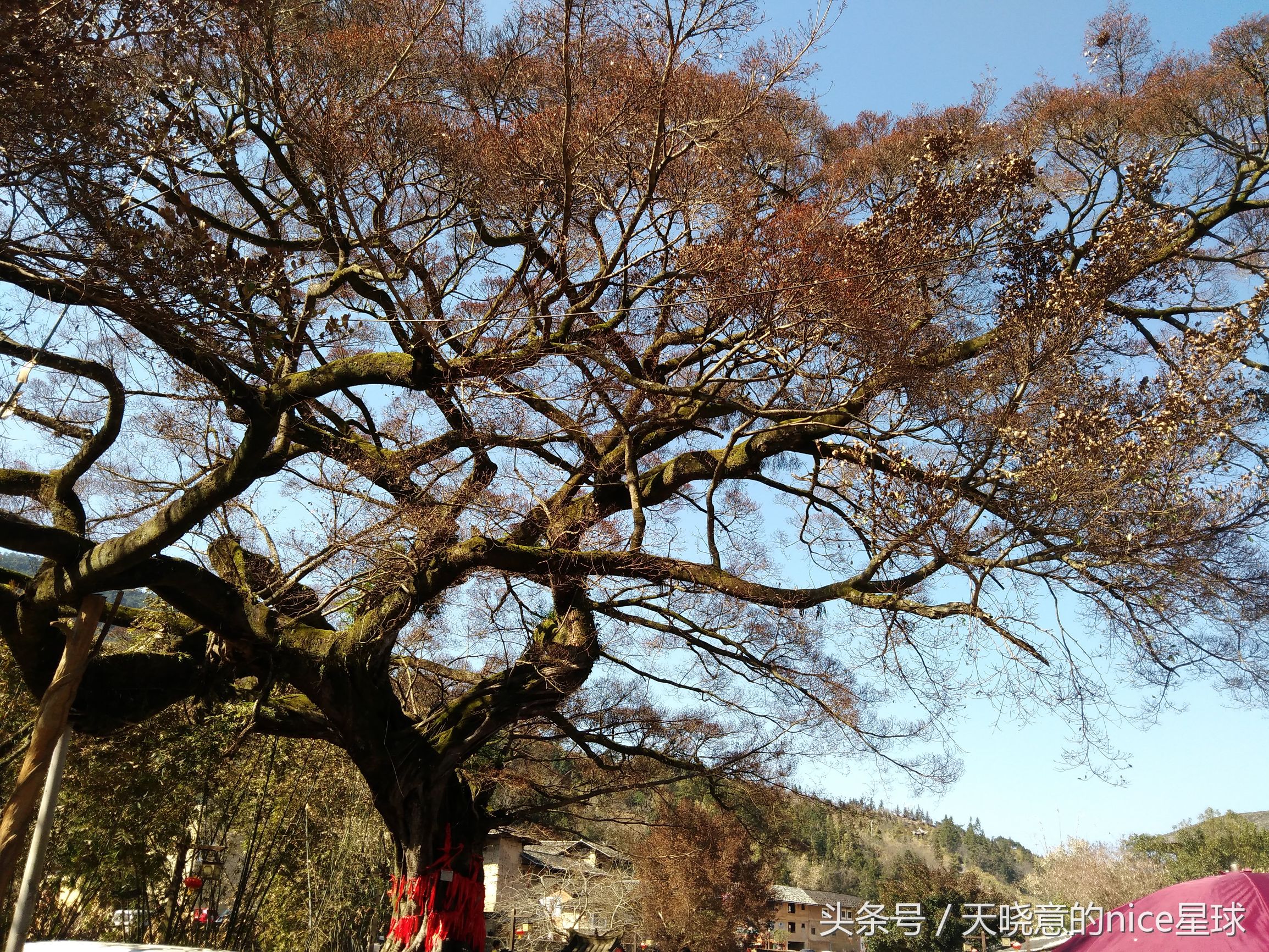 两天一夜，去永定看神秘建筑——土楼