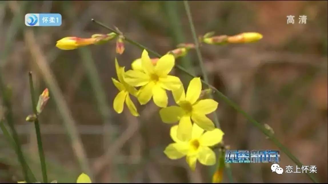 怀柔你好,你好北京怀柔