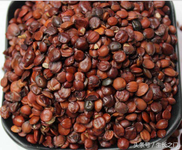 虚劳虚烦不得眠灸什么穴位,虚烦不眠酸枣仁汤主治